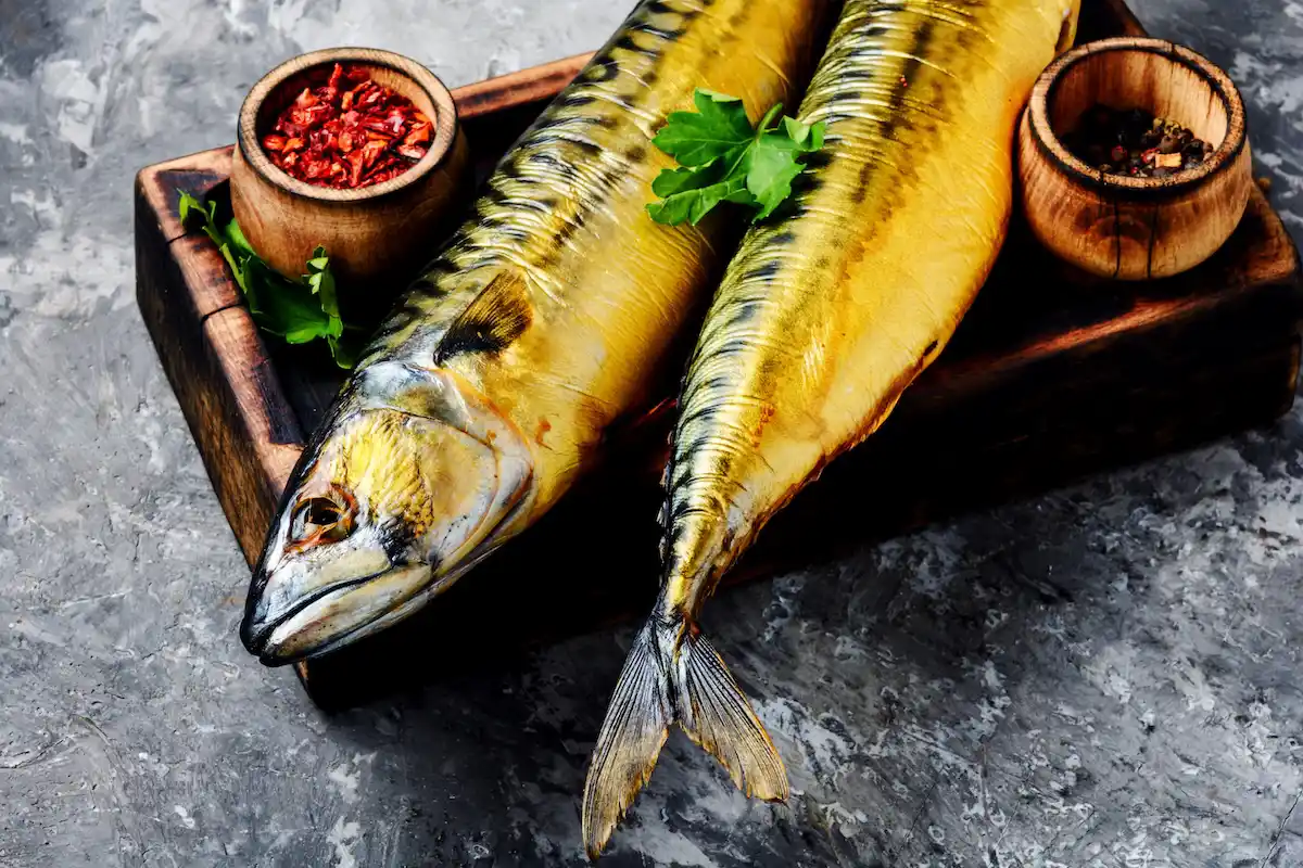 Makrele heißgeräuchert & vakuumiert – Traditioneller Fischgenuss | myRibka