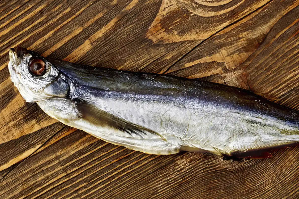 Maräne gesalzen & getrocknet – Traditioneller Fischgenuss | myRibka - Image 2