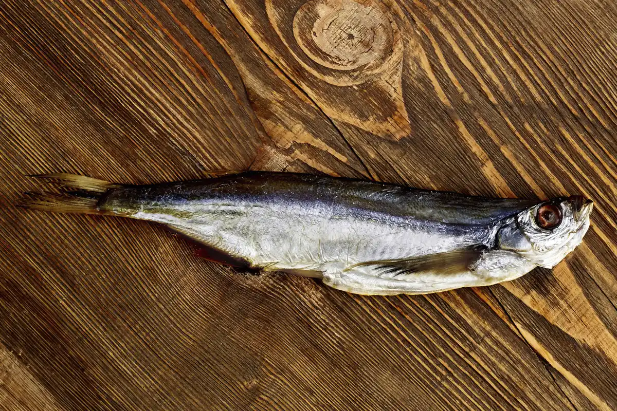 Maräne gesalzen & getrocknet – Traditioneller Fischgenuss | myRibka - Image 4