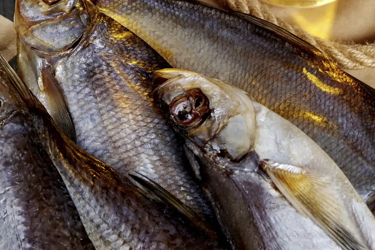 Maräne gesalzen & getrocknet – Traditioneller Fischgenuss | myRibka - Image 5