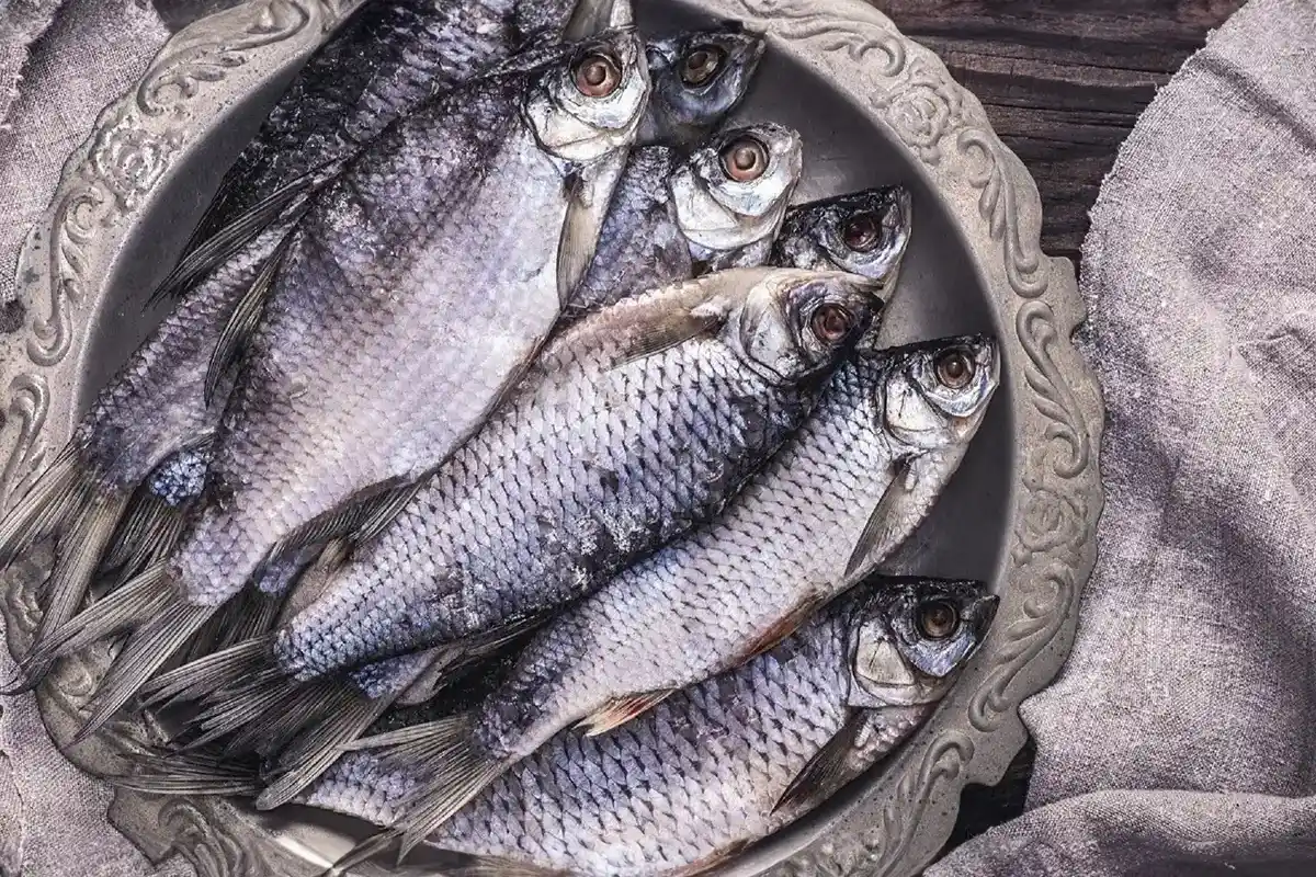 Plötze/Rotfeder gesalzen & getrocknet – Traditioneller Fisch-Snack | myRibka